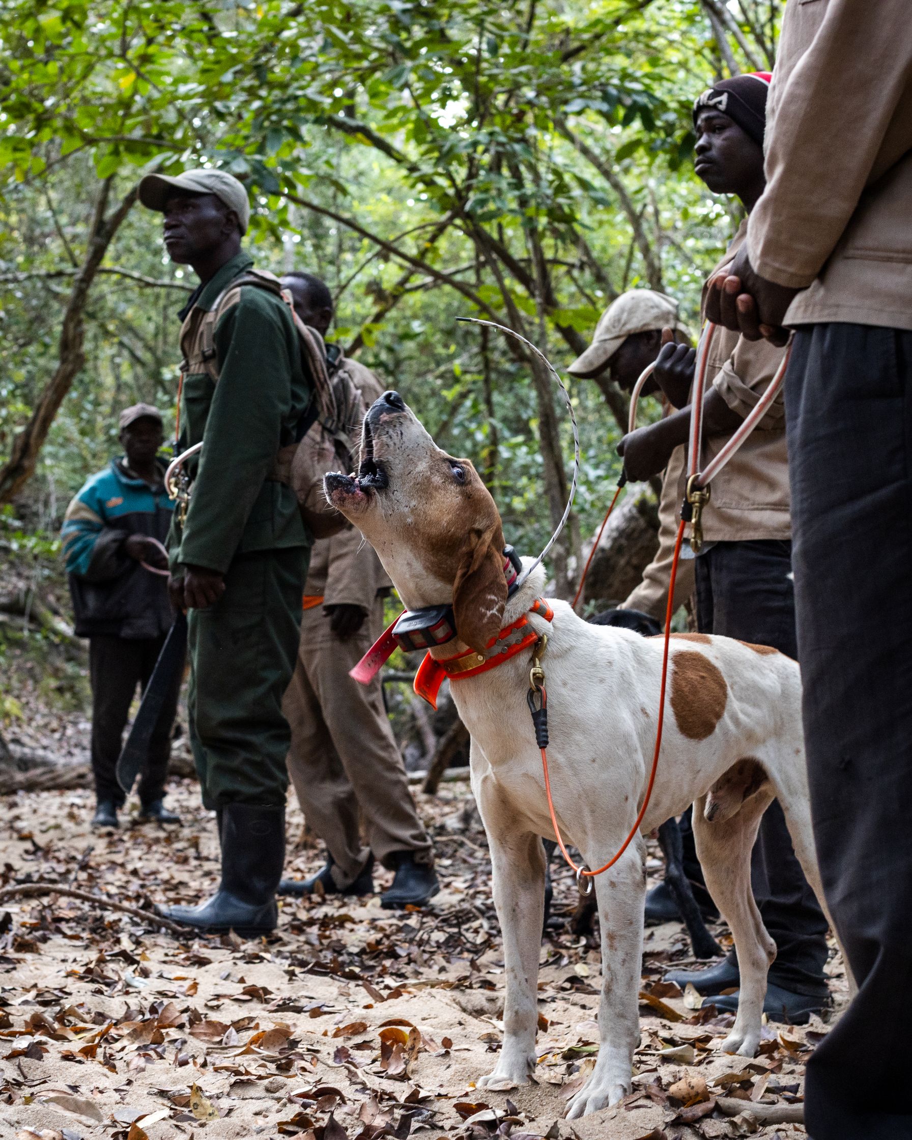 Beyond the Pursuit 2.jpg