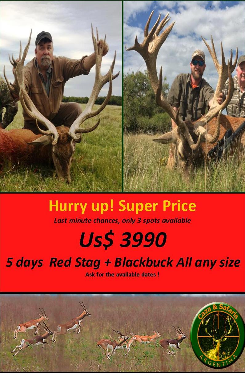 Big Game Red Stag+ Blackbuck.jpg