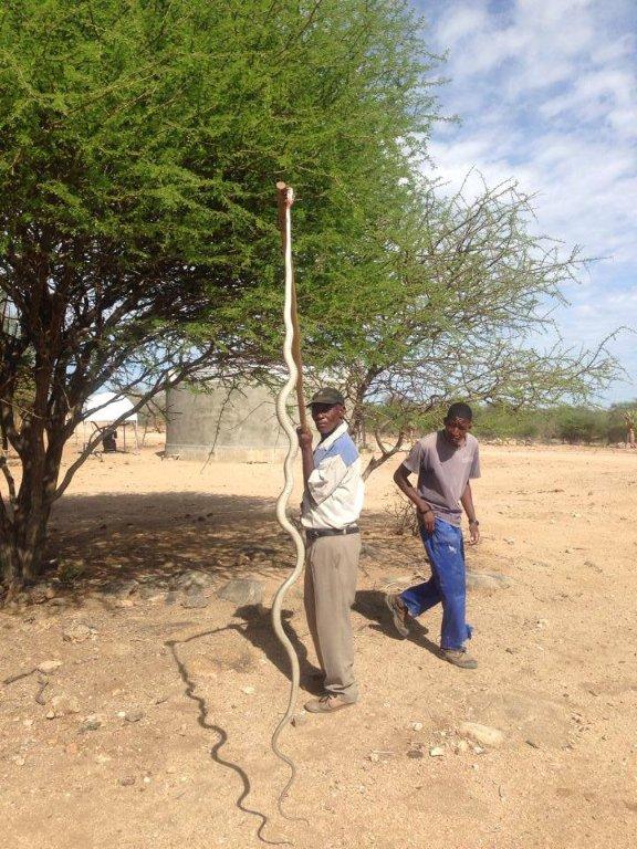 BLACK MAMBA - OKAHANDJA.jpg