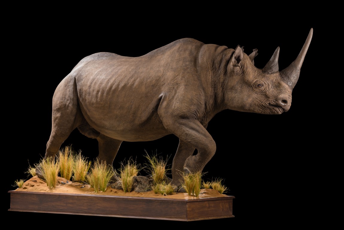 Black Rhino Fullmount - GG 157 (Medium).jpg