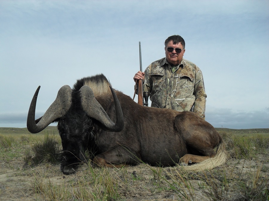 Black Wildebeest.JPG