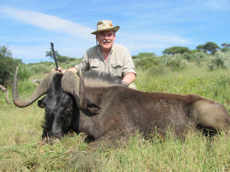 black_wildebeest_3_20120110_1136579910.jpg