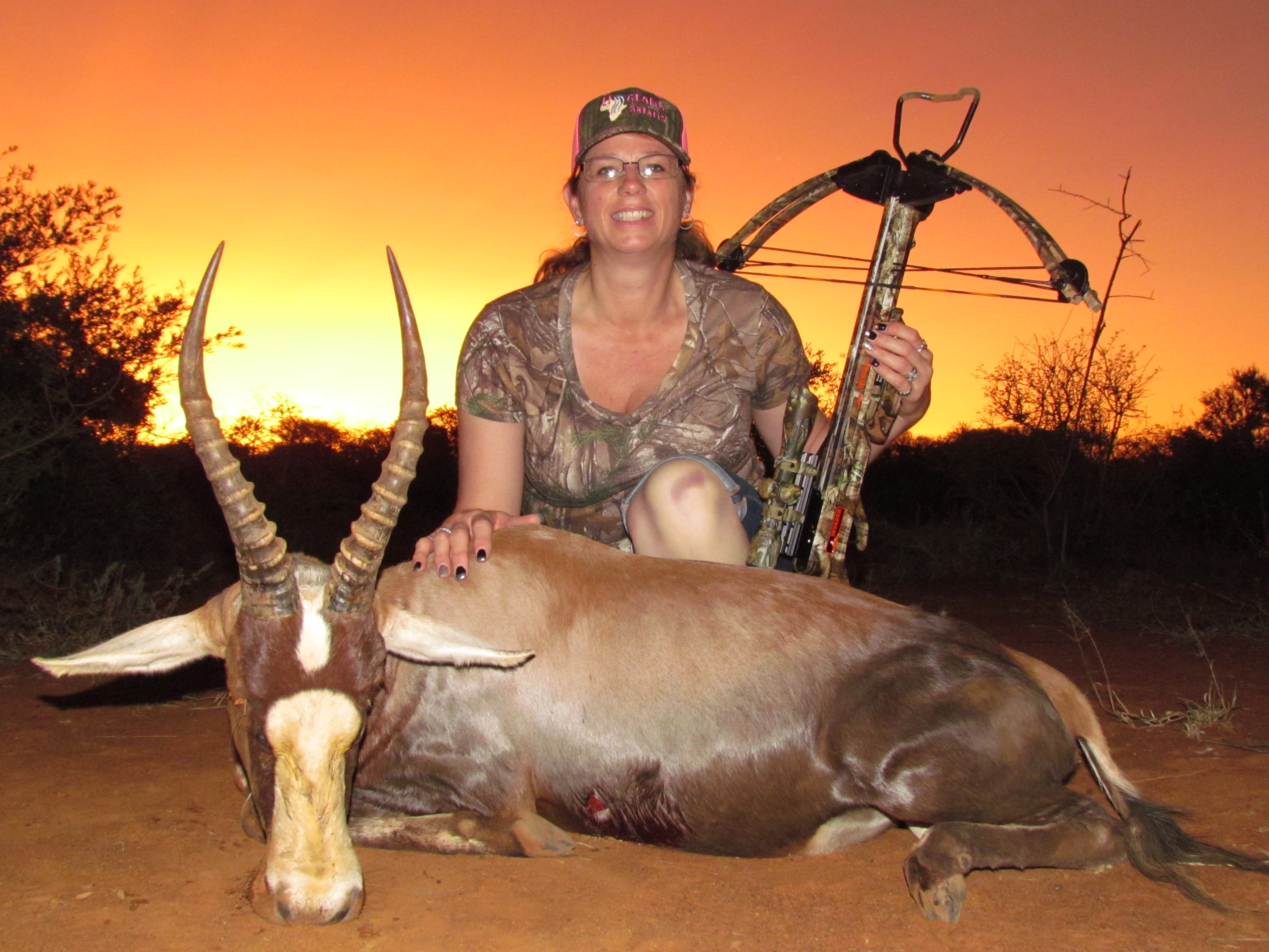 blesbok 2.JPG