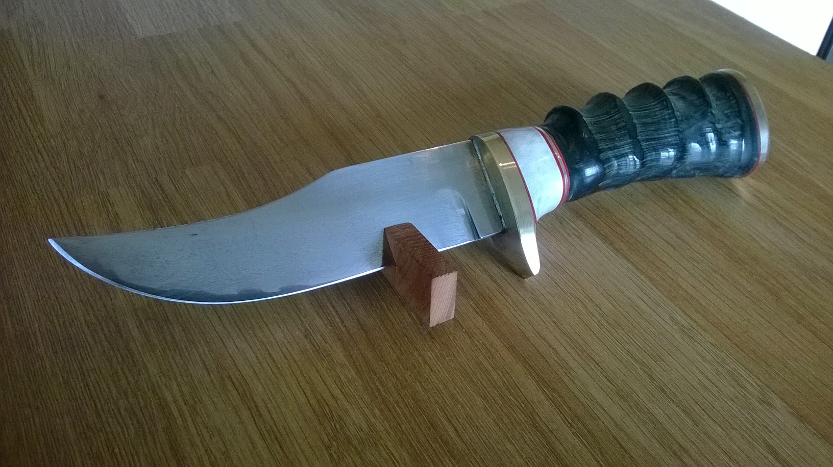 blesbok and rasp knife.jpg