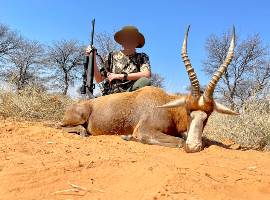 blesbok.png