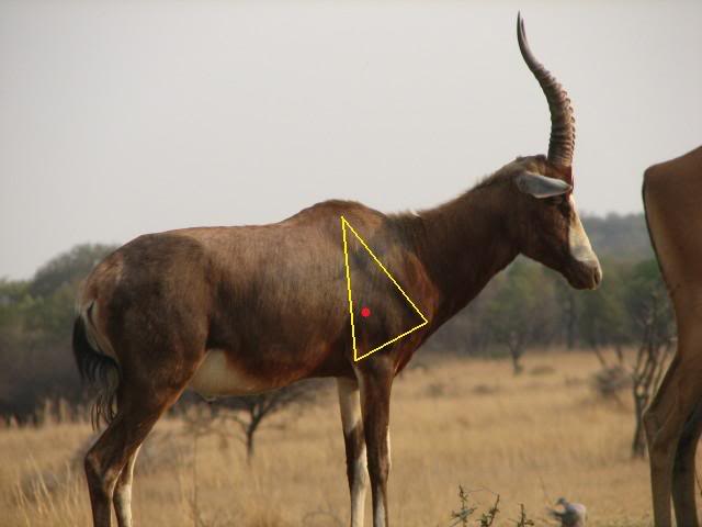 blesbok015.jpg