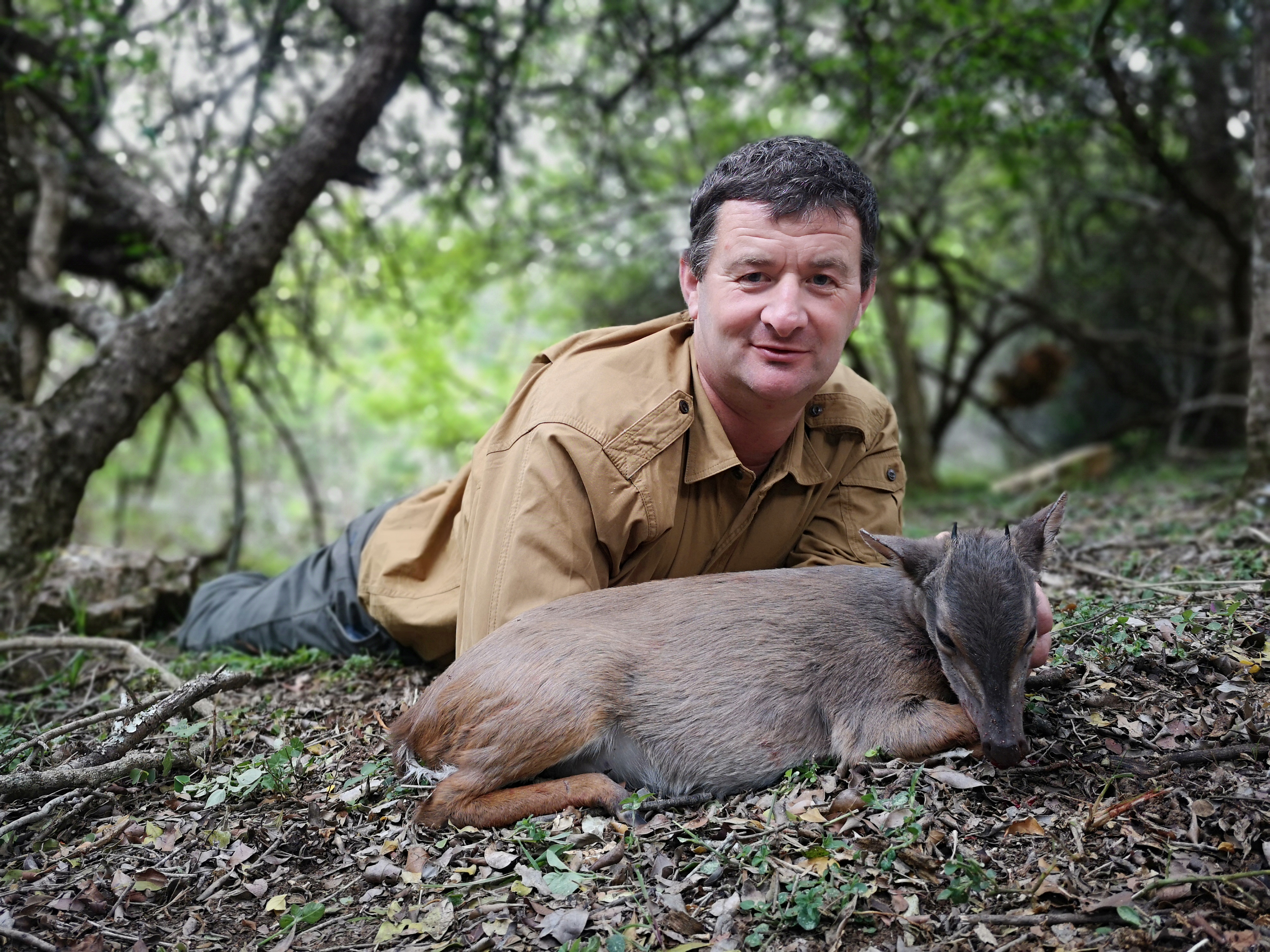 blue duiker.jpg