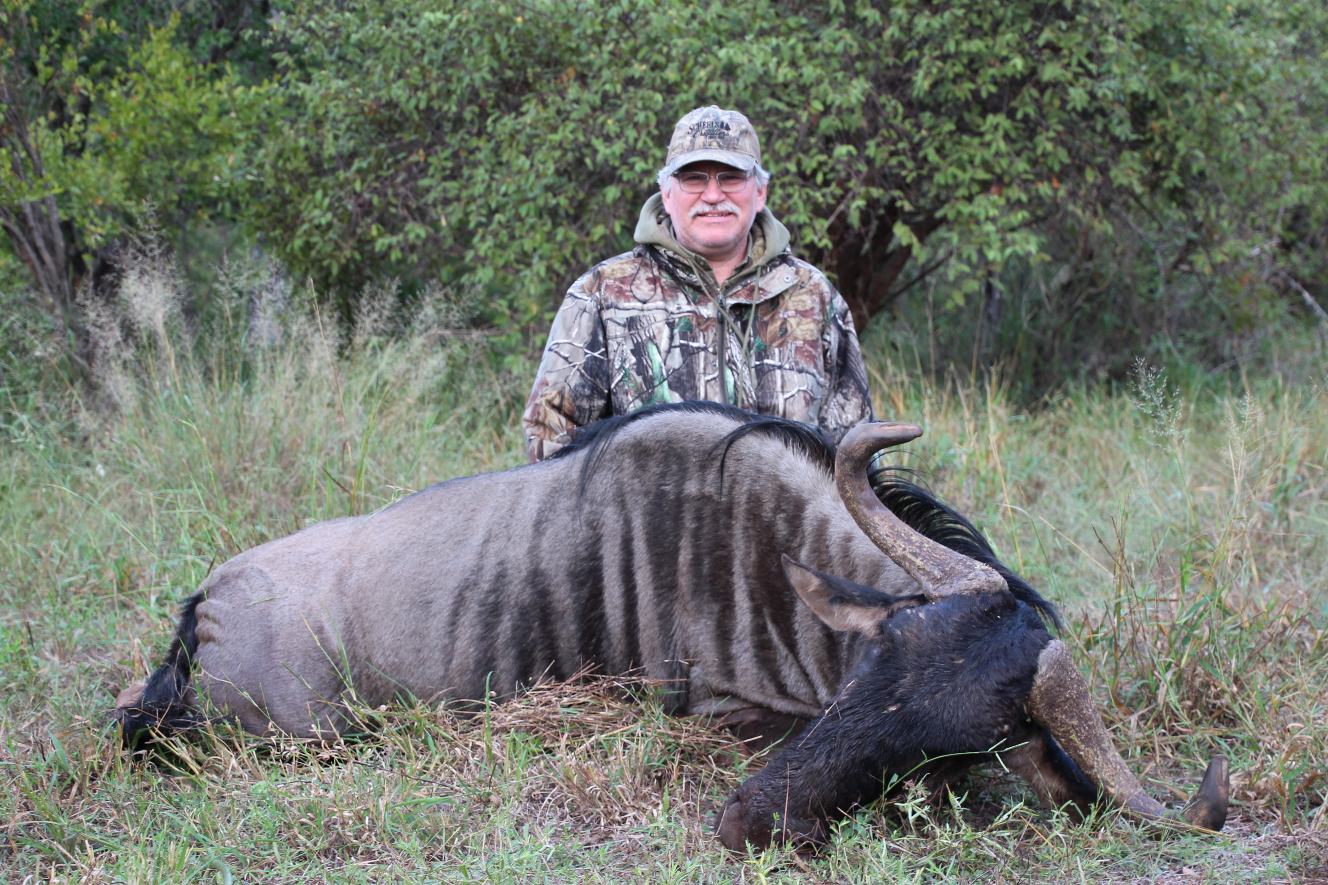 Blue Wildebeest Spear April2015.JPG