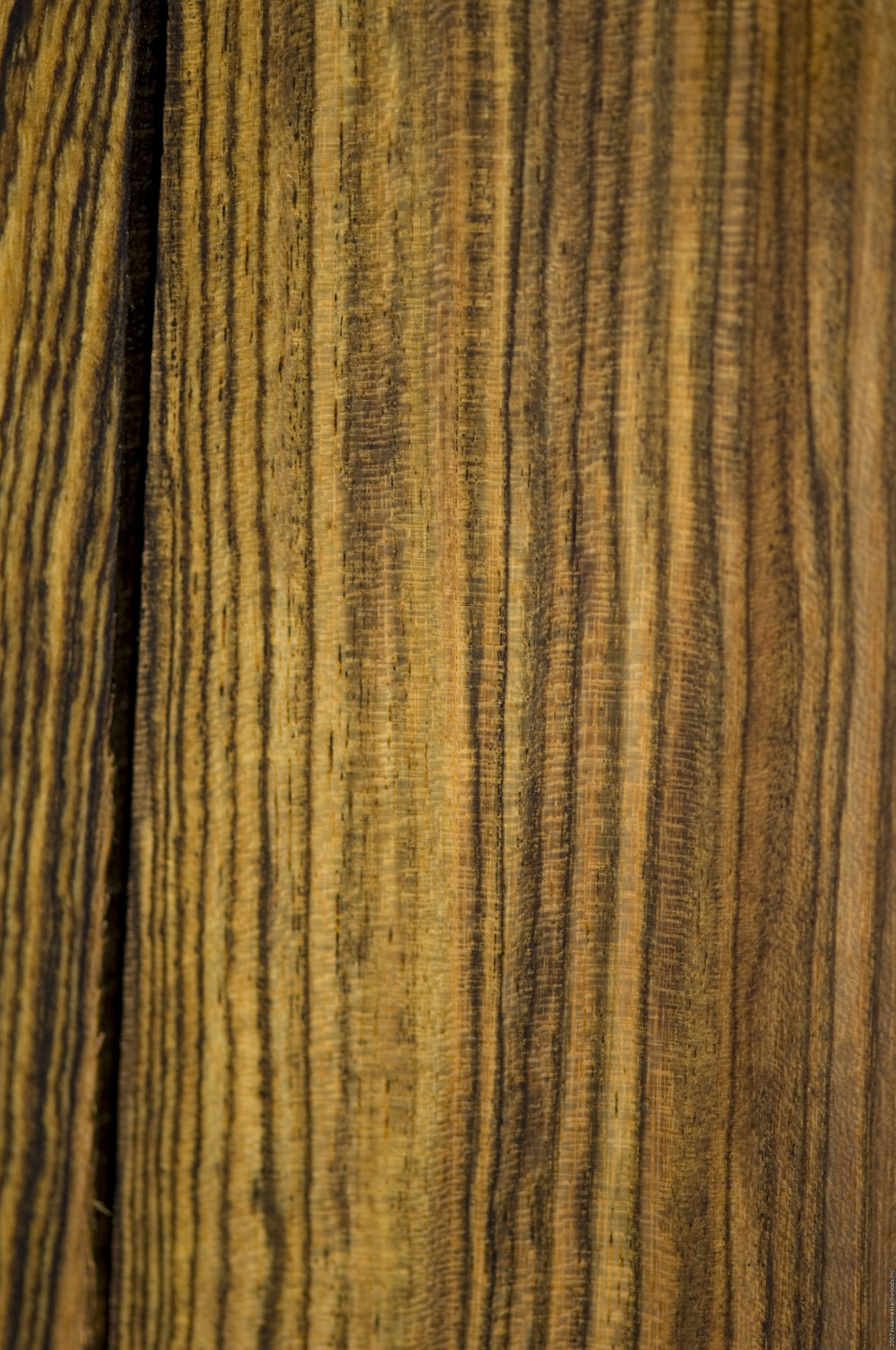 bocote_wood_sample_pic.09.jpg
