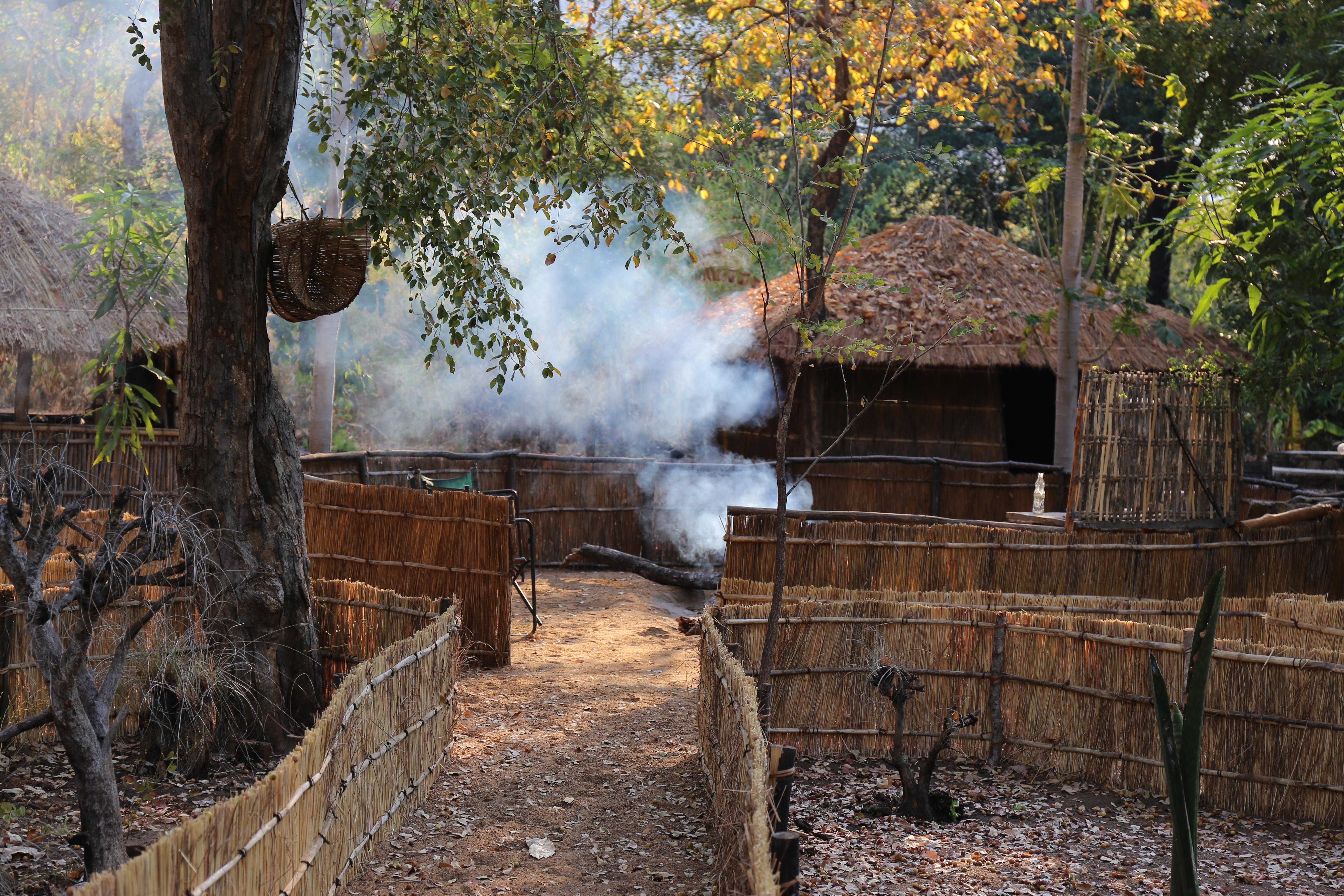 Boma smoke.jpeg