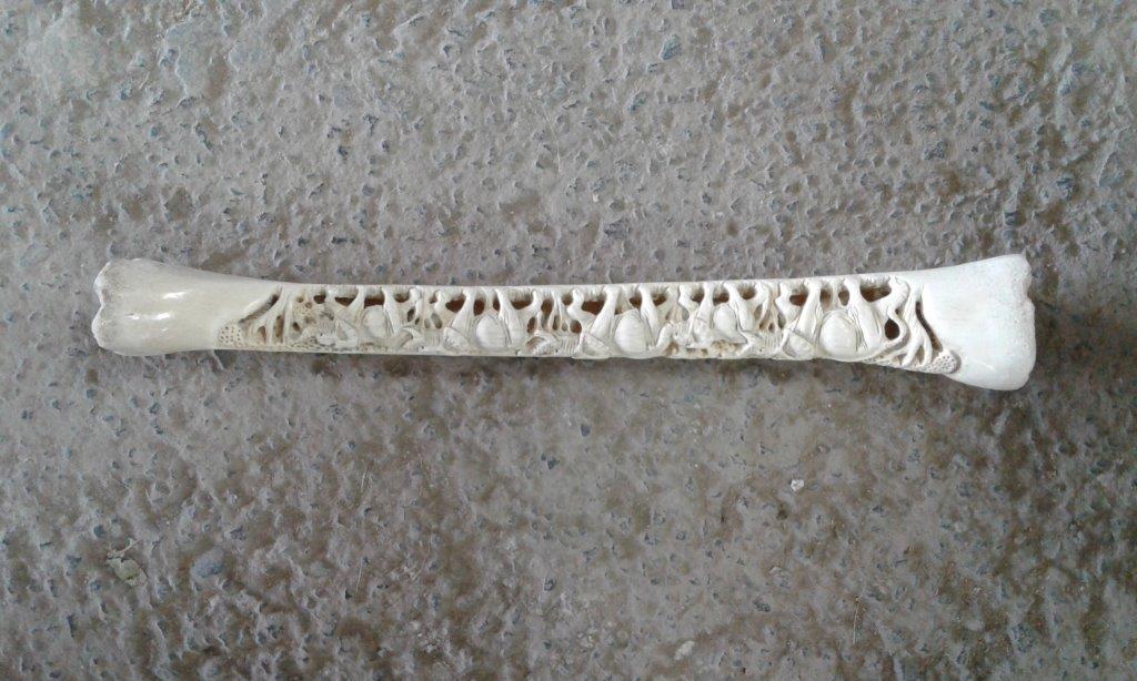 Bone carvings (5)(1).jpg