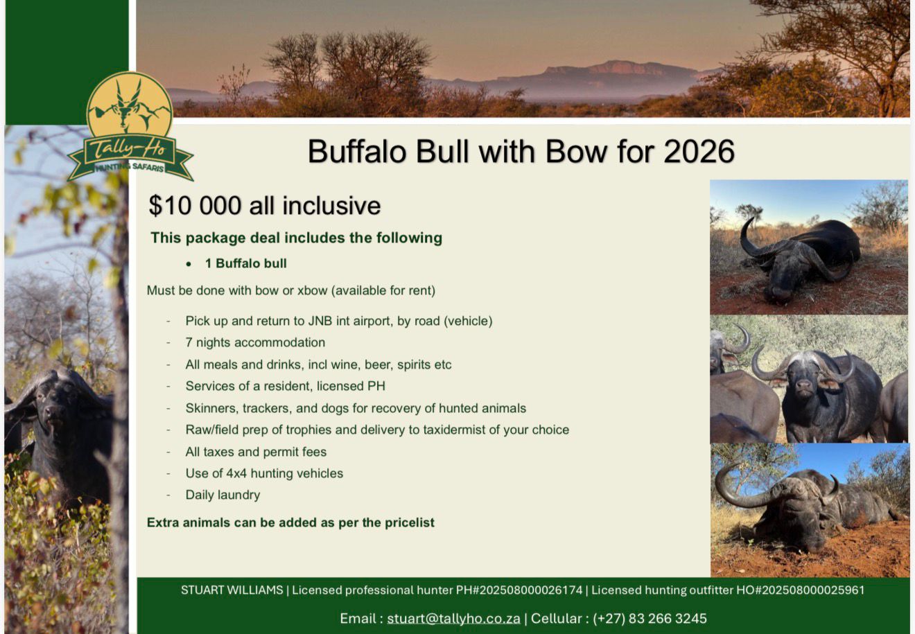 bow buff bull 2026.jpeg
