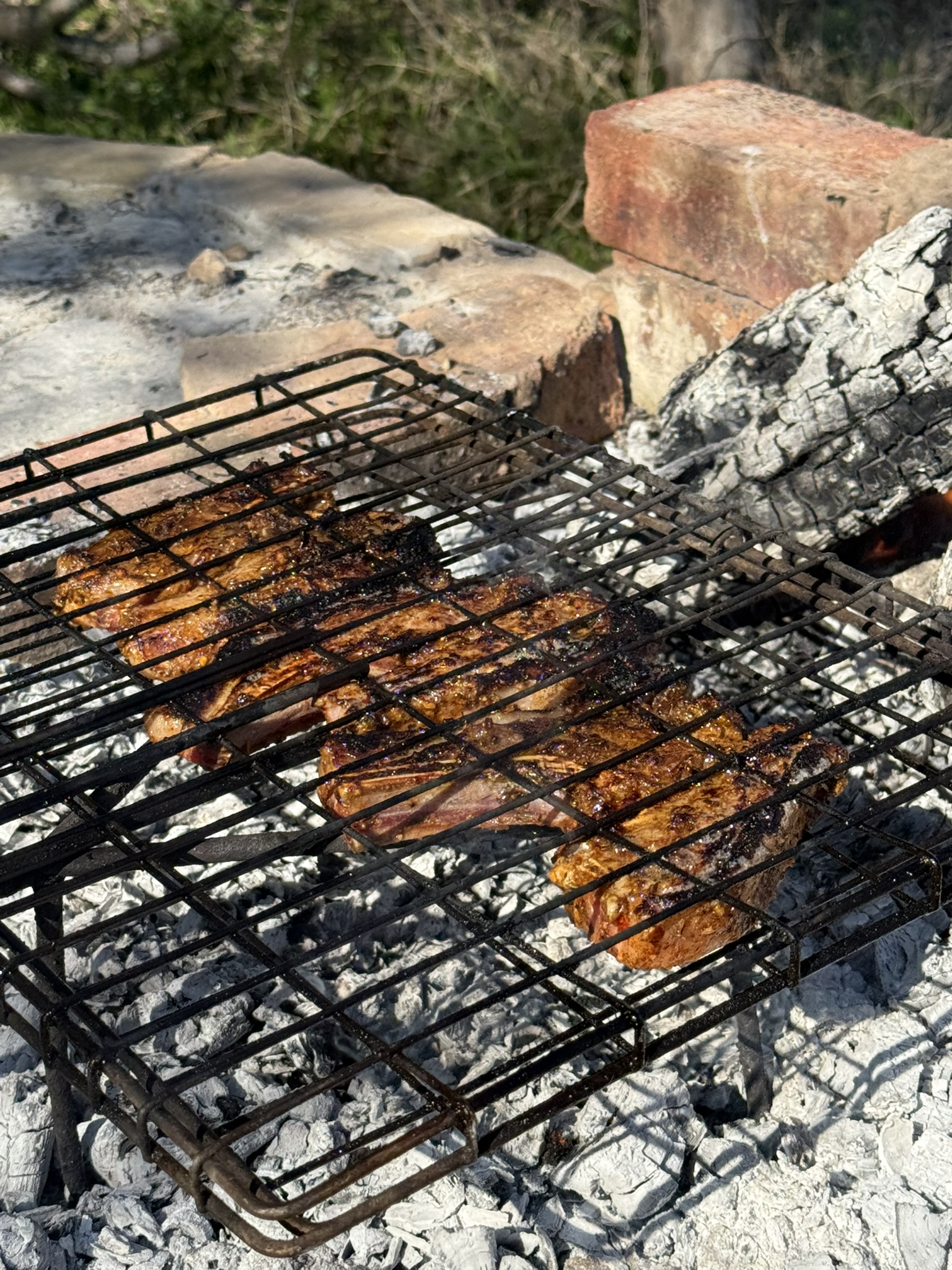 Braai on the Fish.JPEG