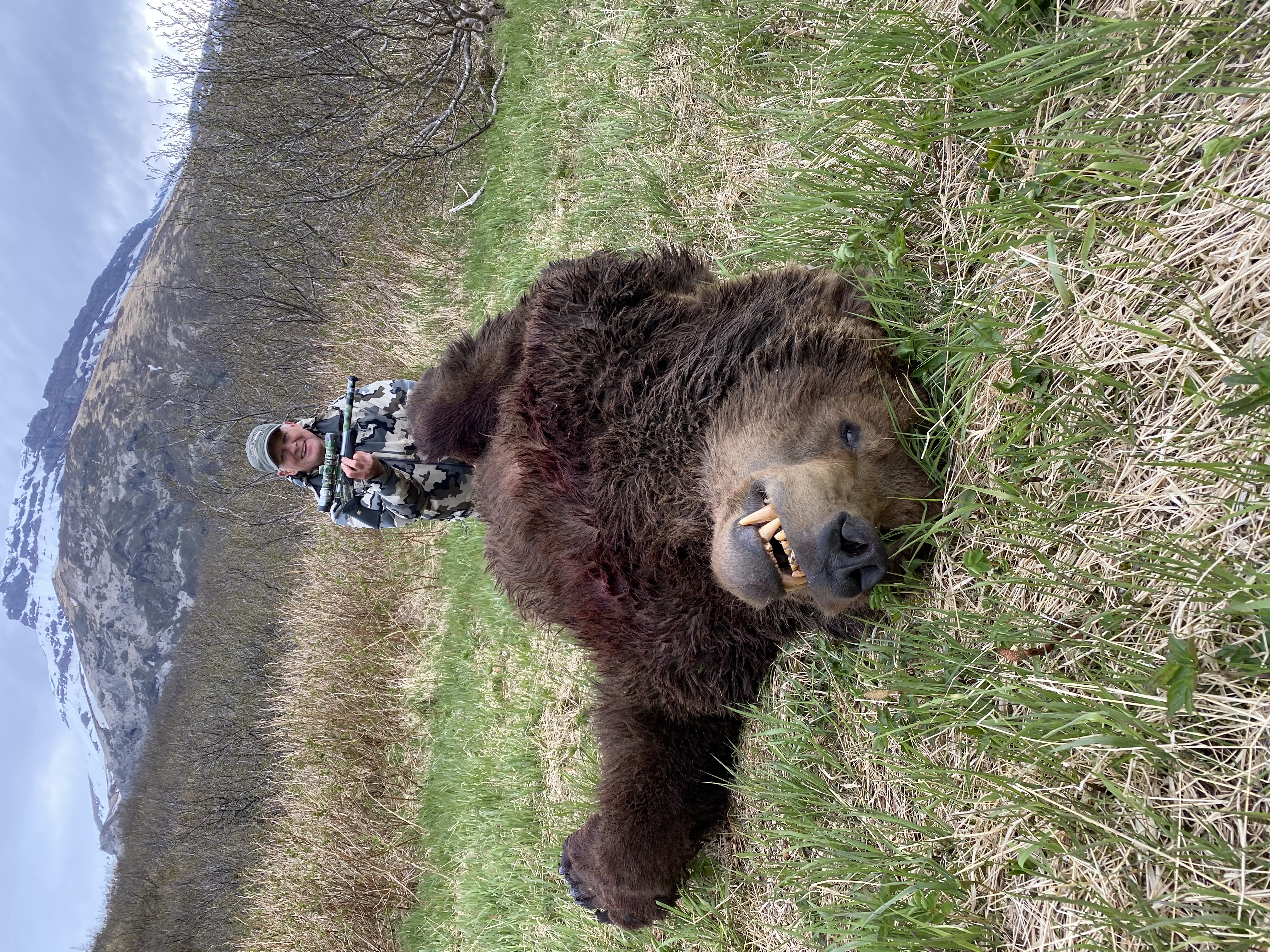 brown bear 2.jpeg