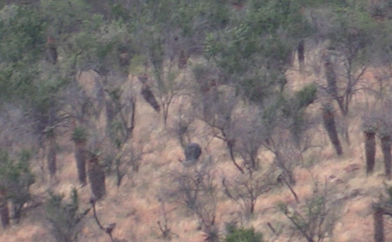 buff in the distance (2).png