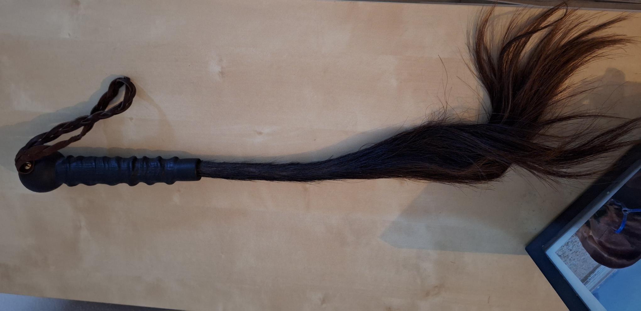 buff tail.jpg