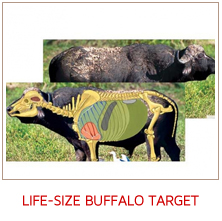 buff-targets.jpg