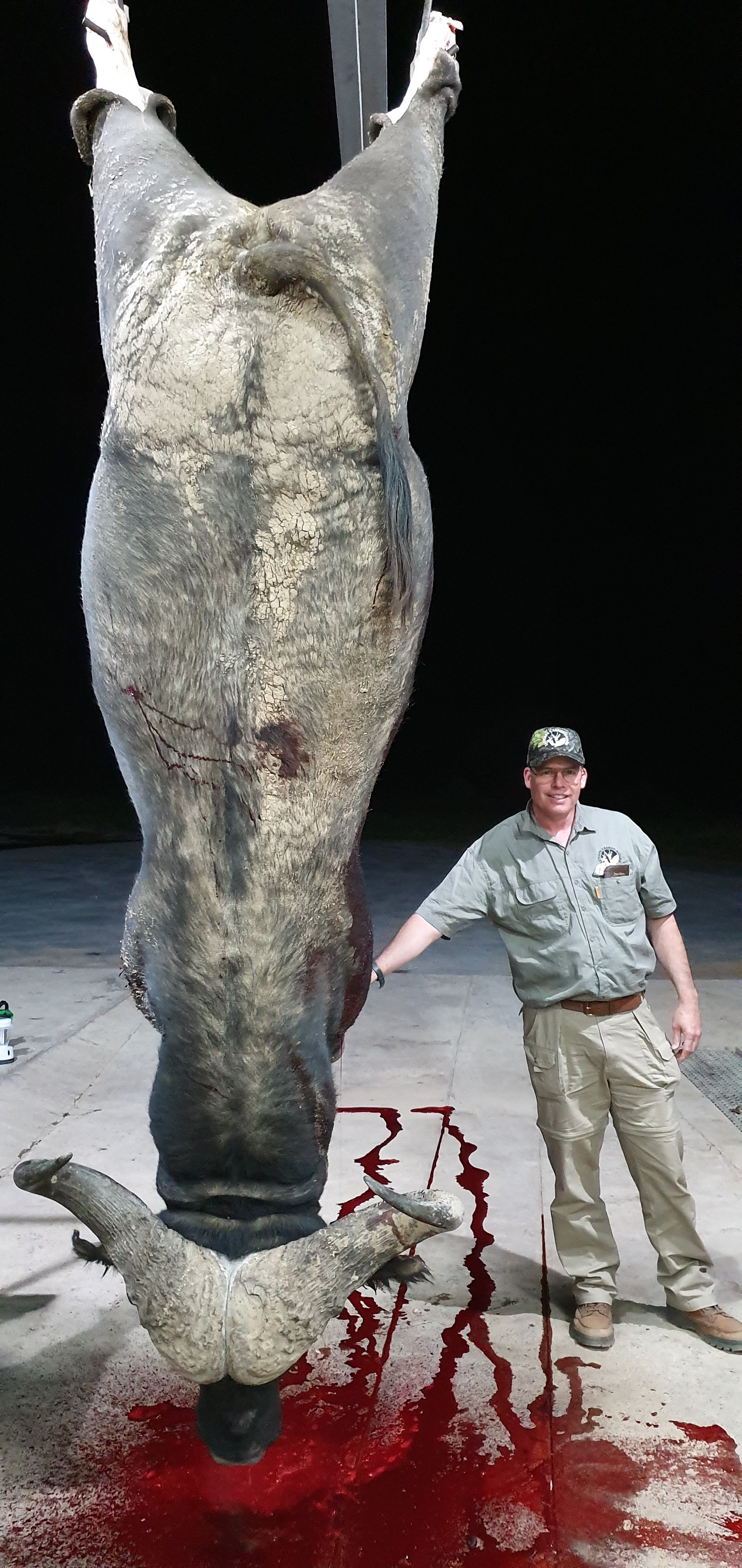 Buffalo on the hooks.jpg