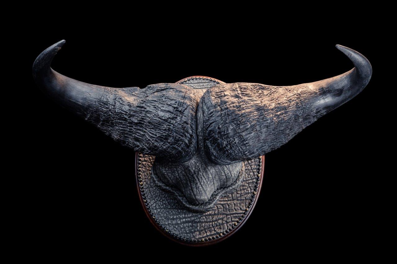 Buffalo Skull Cap with Custom Leather  - HH001.jpg