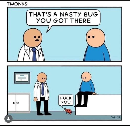 bug meme.jpg