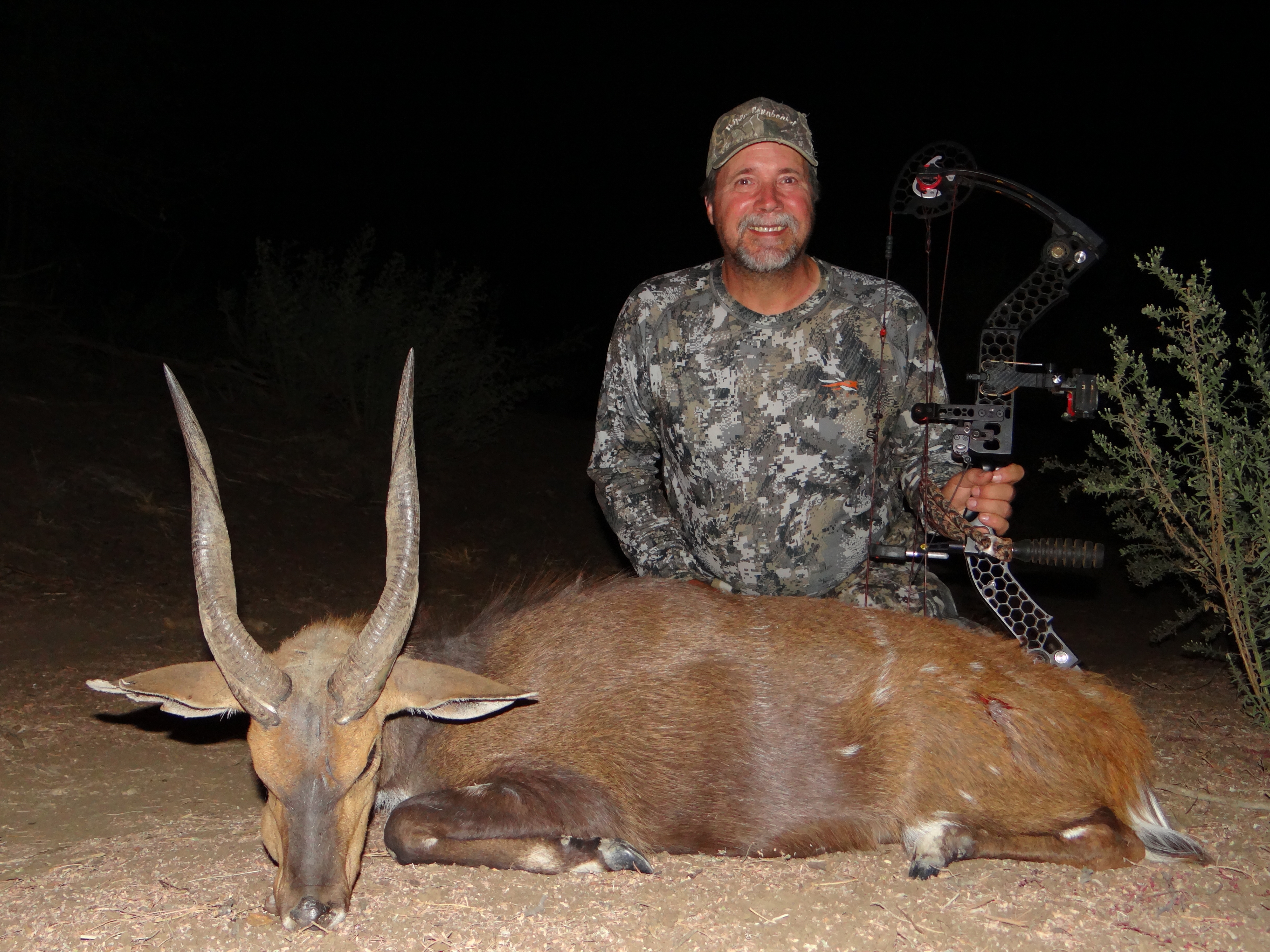 bushbuck 2.JPG