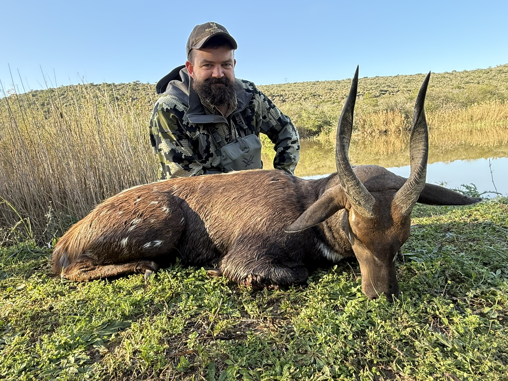 Bushbuck 3.JPEG