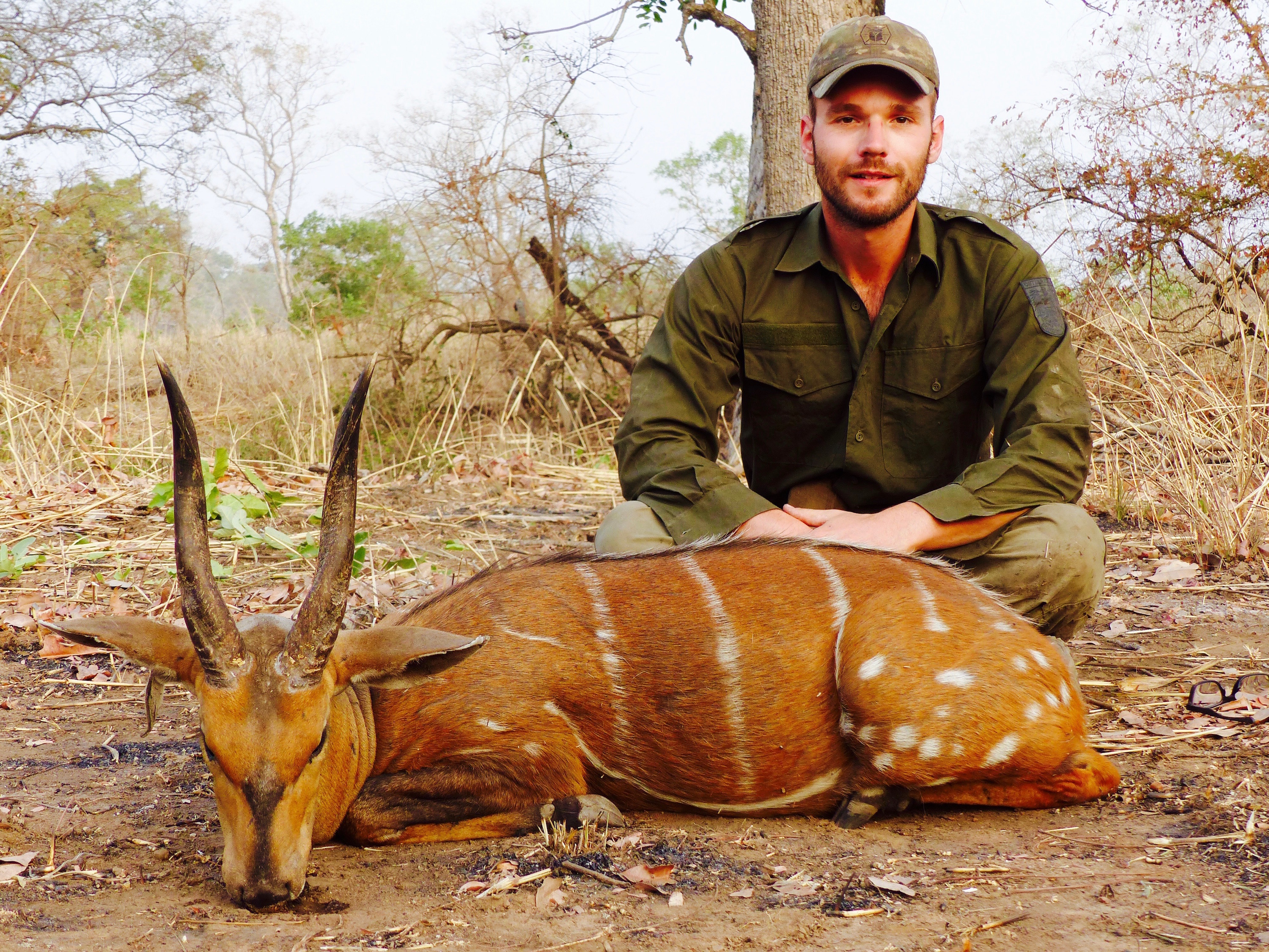 bushbuck4.jpg