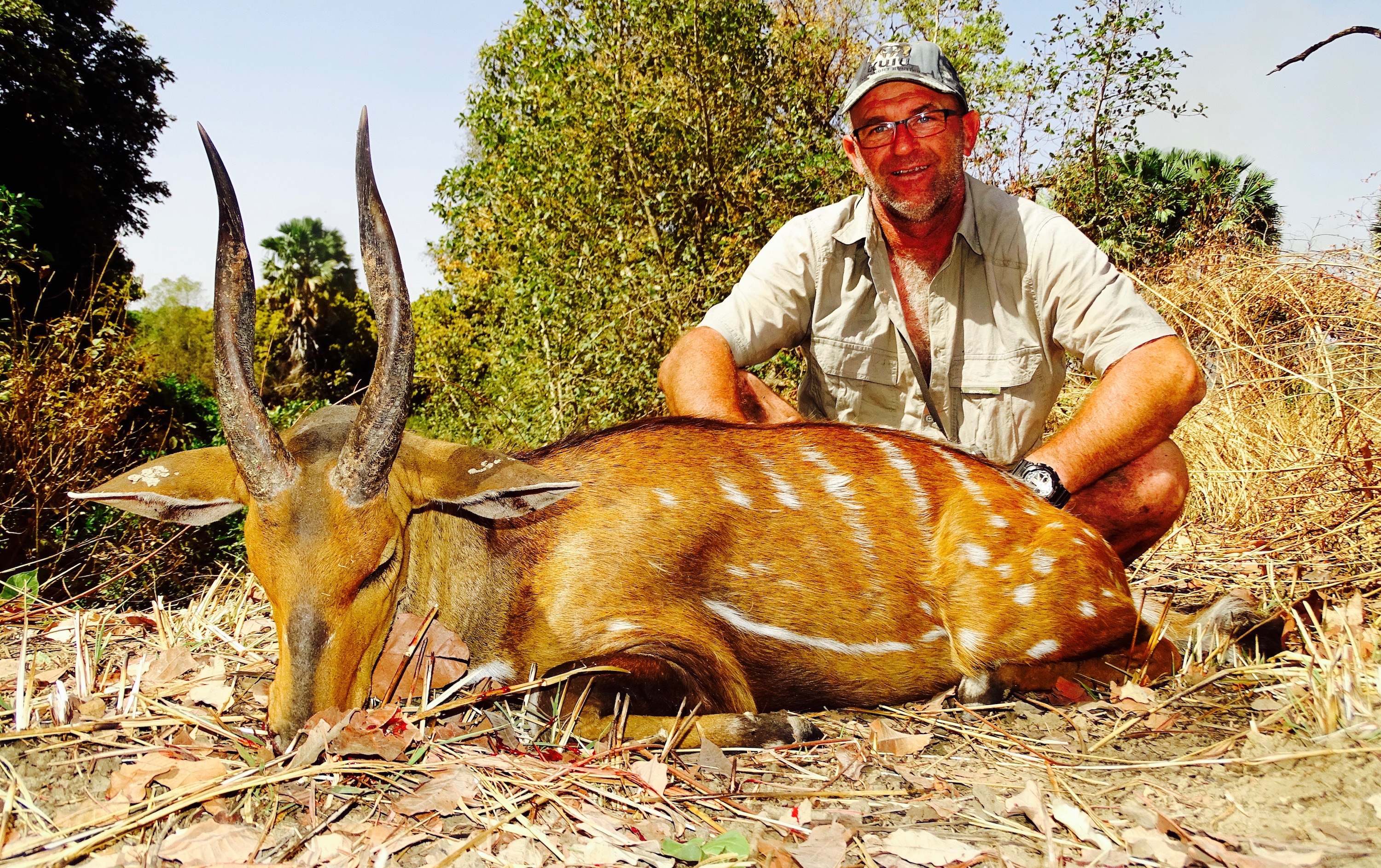 bushbuck5.jpg