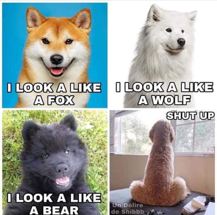 C0E615AE-D2EA-43AD-8B52-E60CAE5E3D44.jpeg