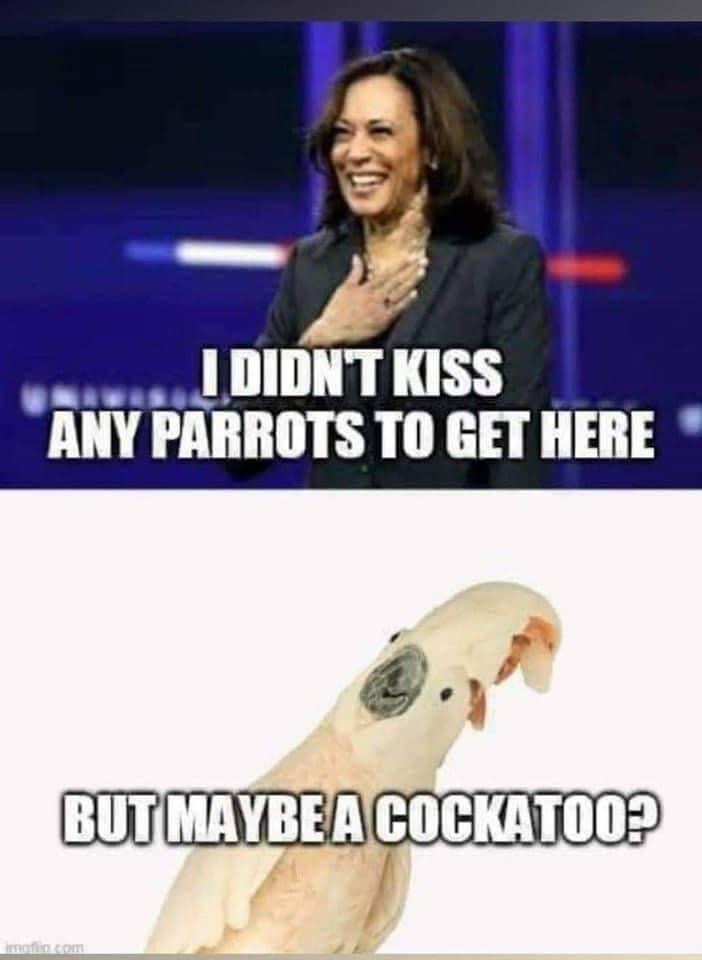C667C424-66BC-4AB4-AD5C-E6483DF05191.jpeg