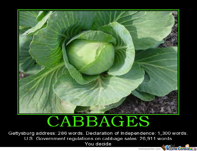 cabbage-regulation_o_2197187.jpg