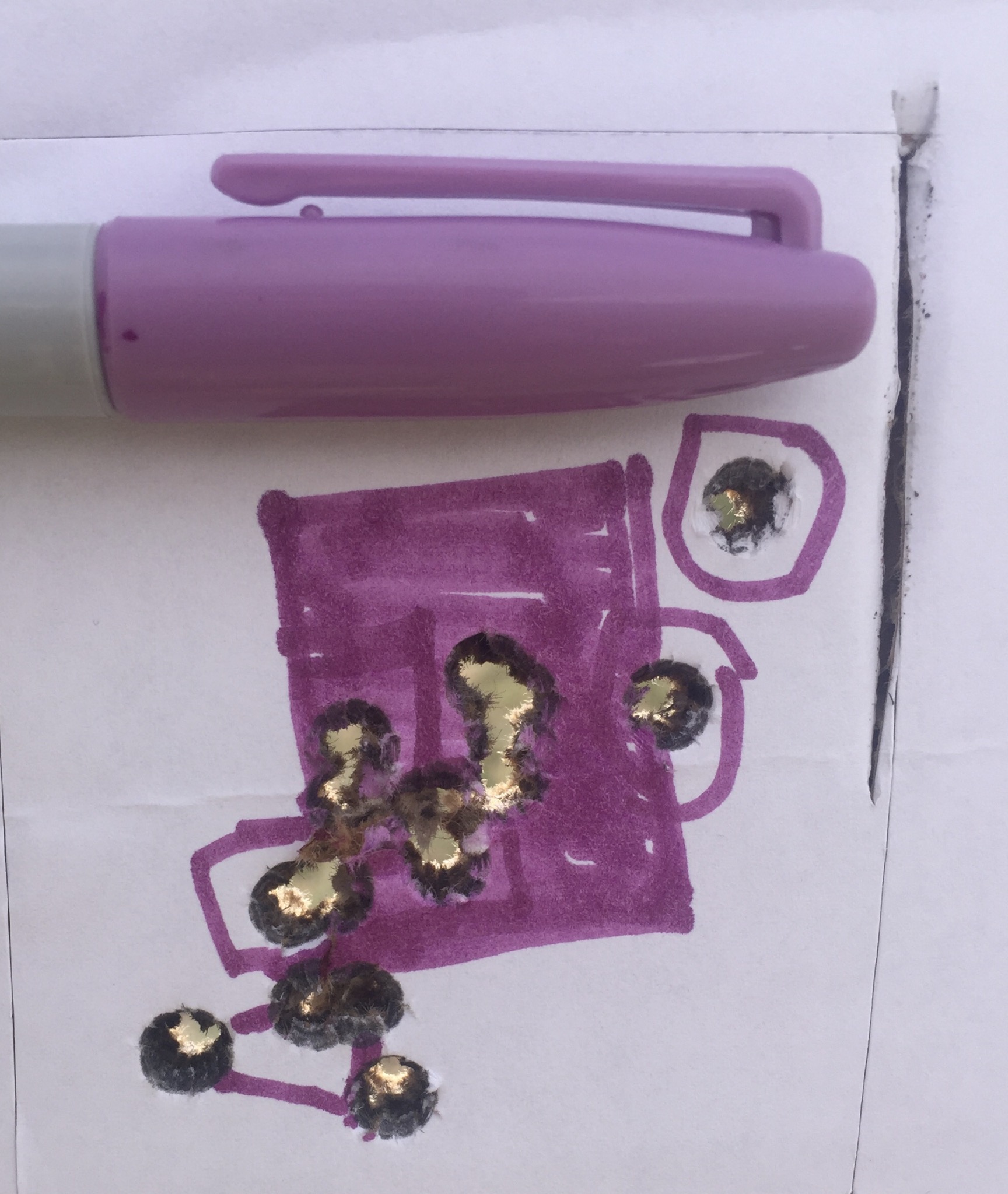 CAE5DBFE-34F1-46A8-951C-C17A524BFABD.jpeg