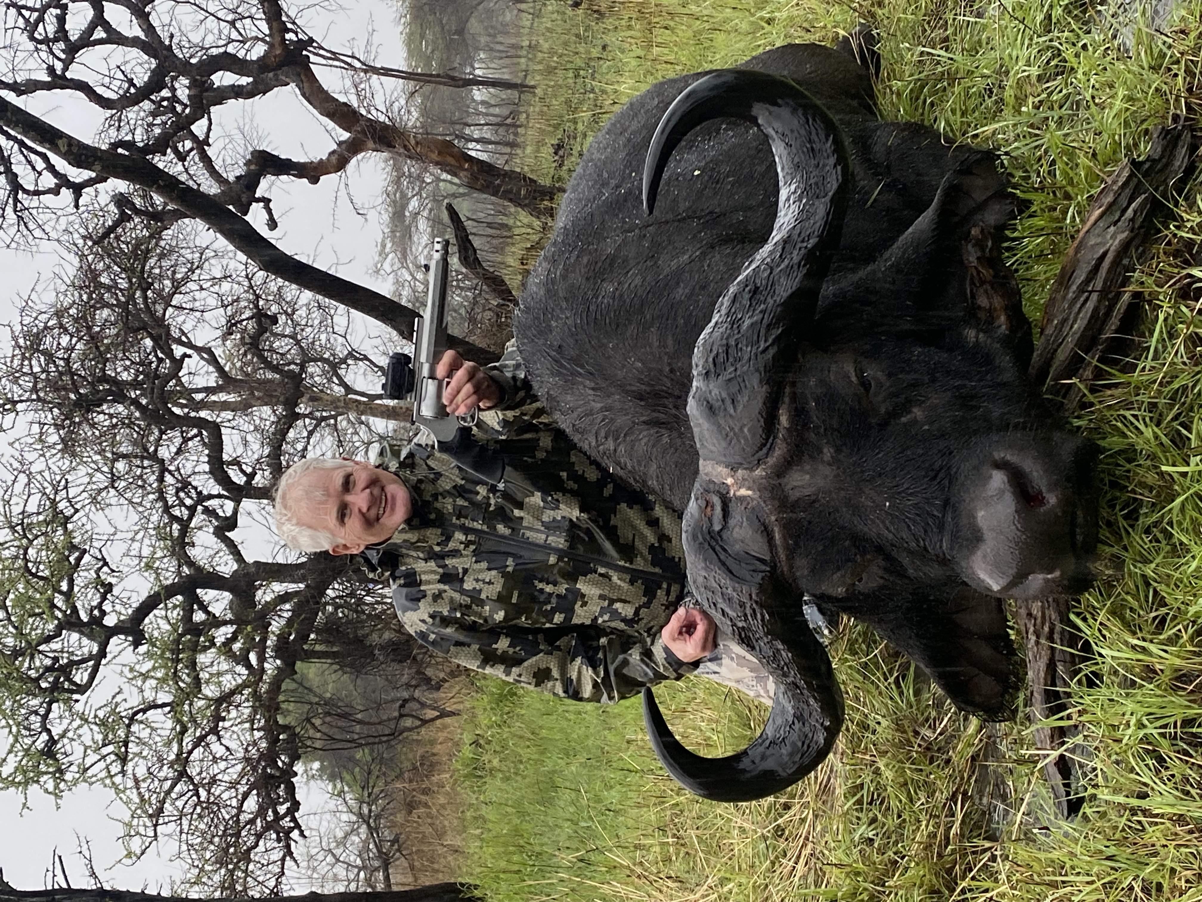 cape buffalo 1.jpeg