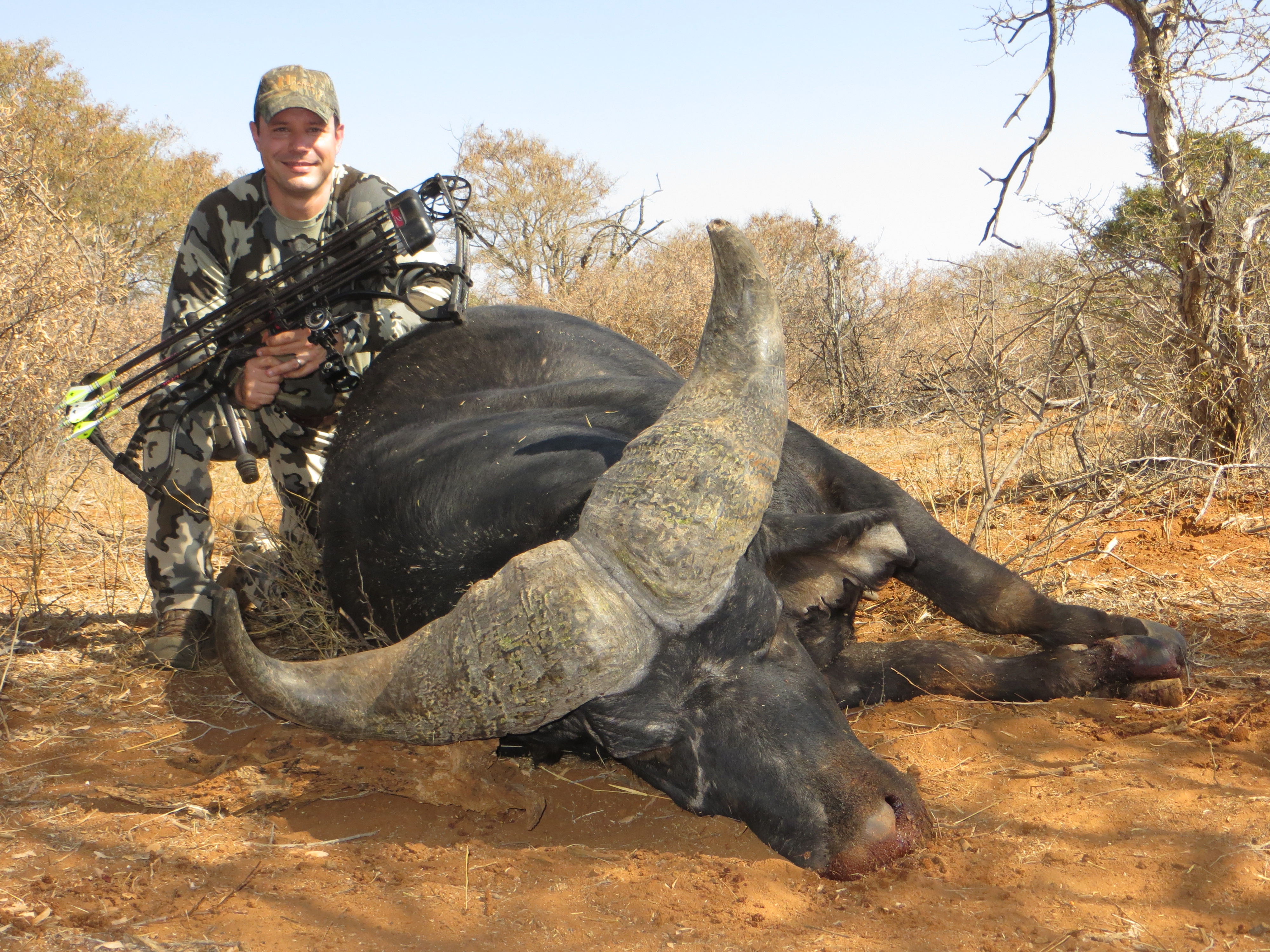 cape buffalo 2.JPG