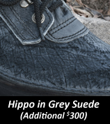 cb-hippo-grey.jpg