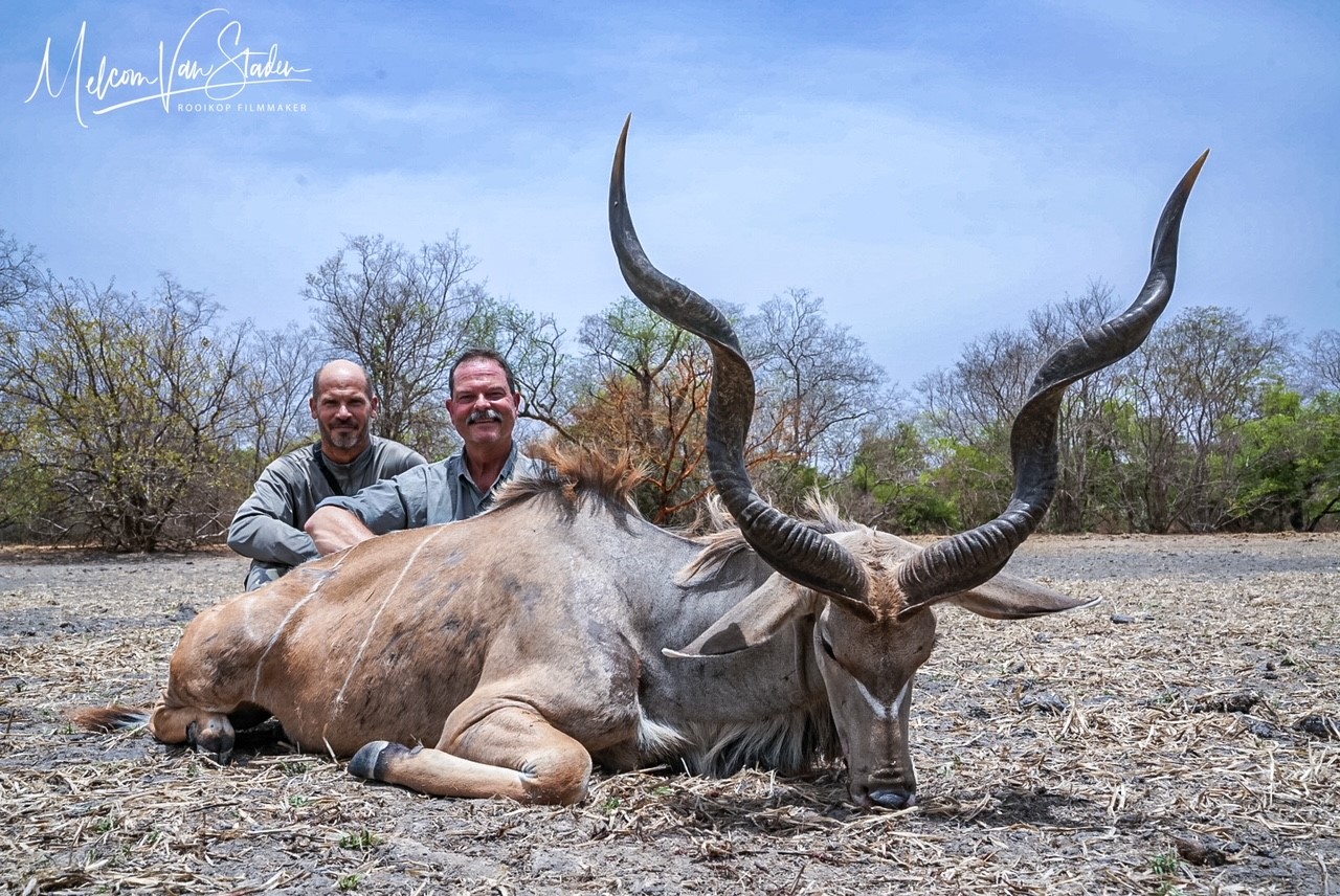 Chad Western Kudu.jpg