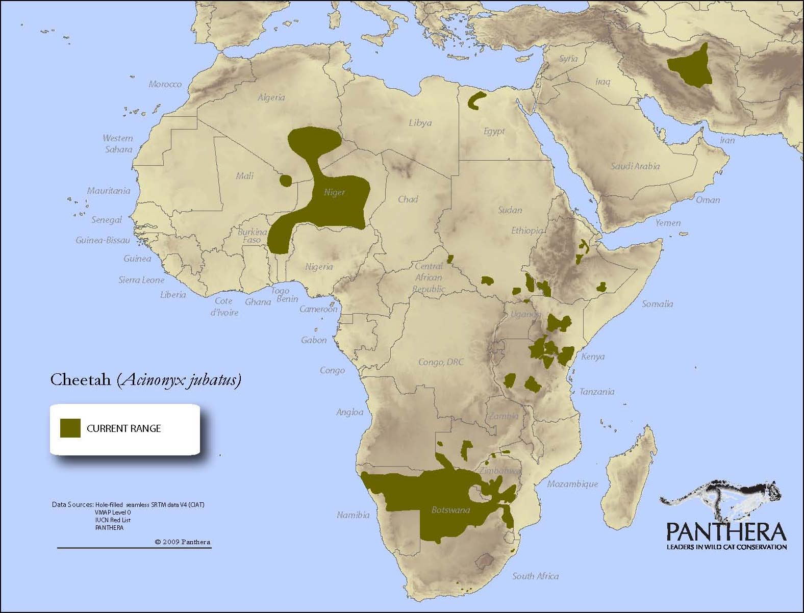 cheetah-current-range.jpg