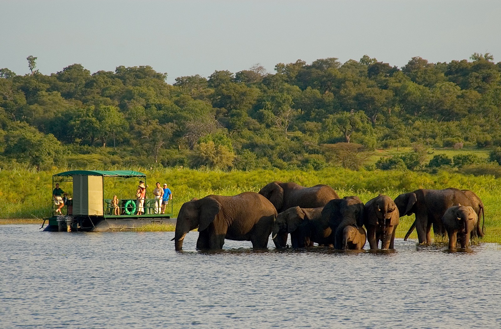 chobe-national-park-boat-cruise.jpg