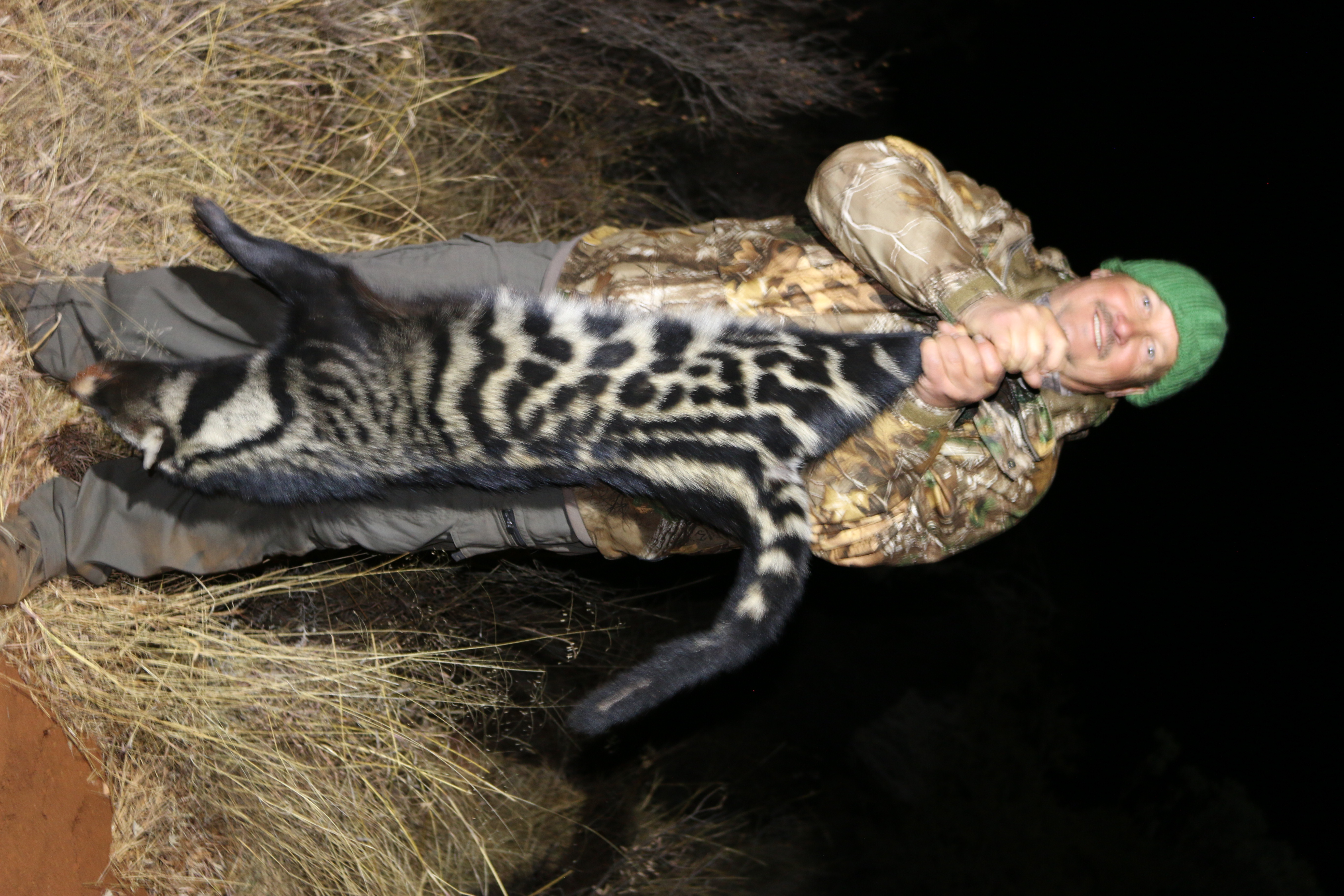 Civet.JPG