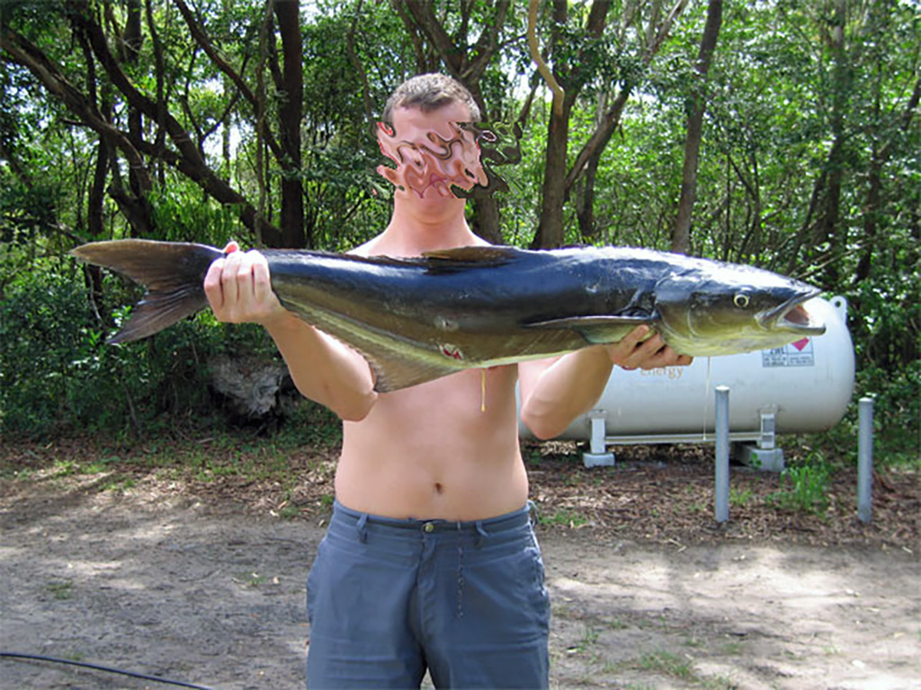 Cobia1.jpg