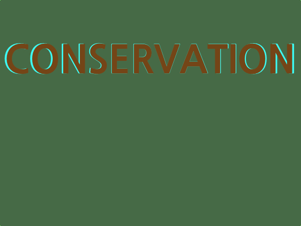 conservation.jpg