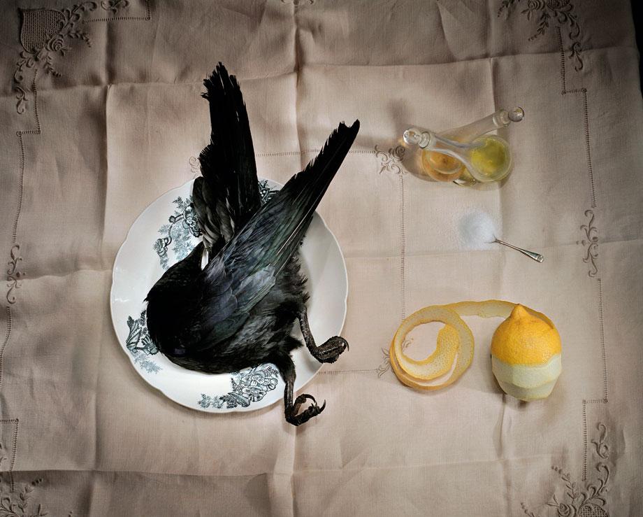 crow-dinner.jpg
