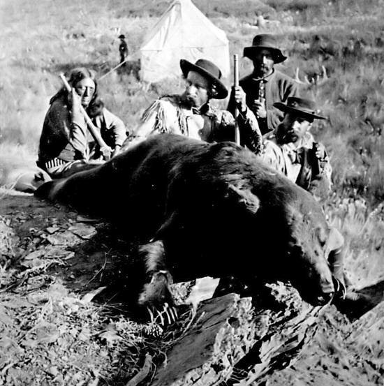 custer-bear-hunt-550.jpg