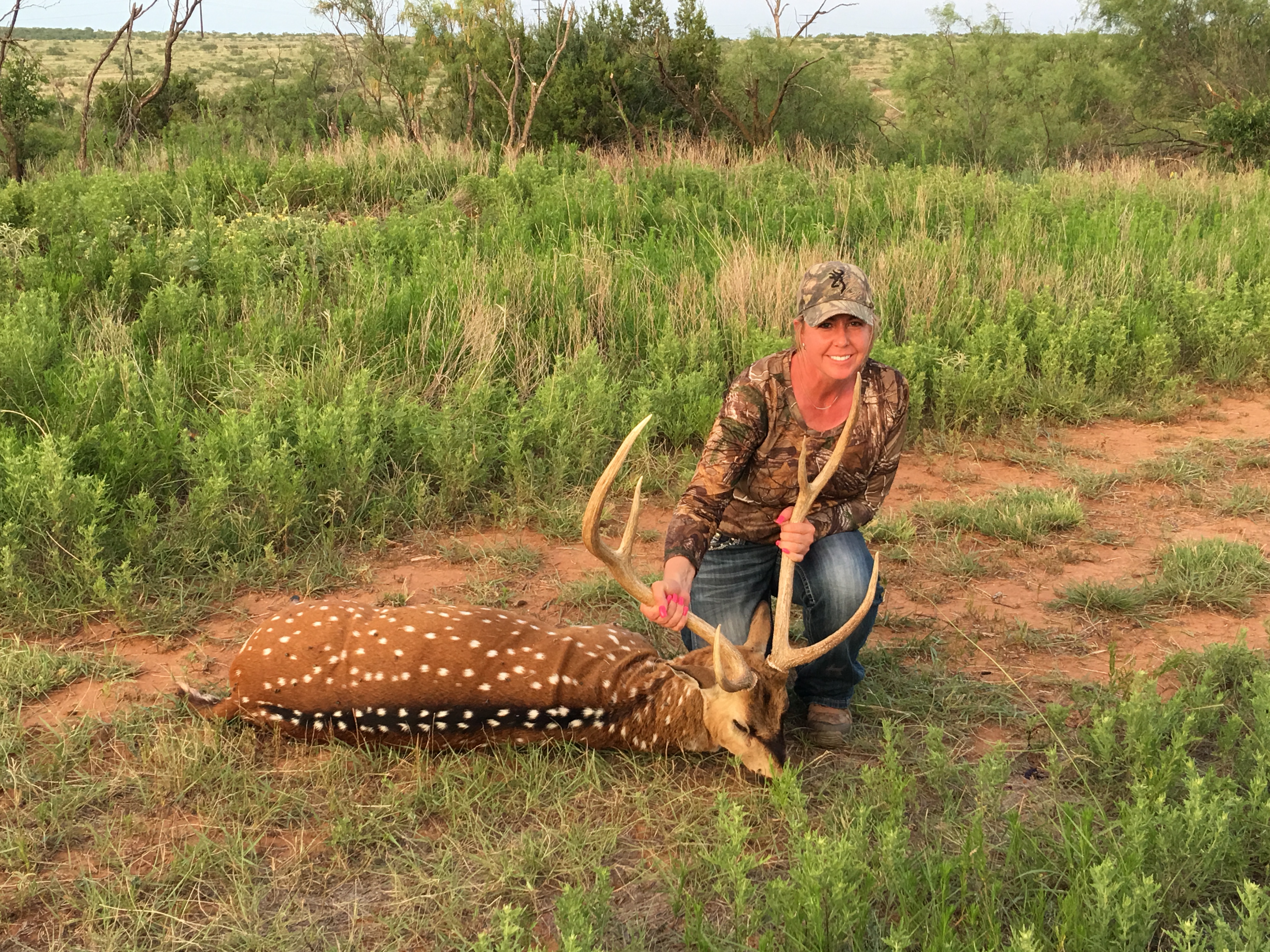 Summer Axis Deer Rut Hunt Texas Available