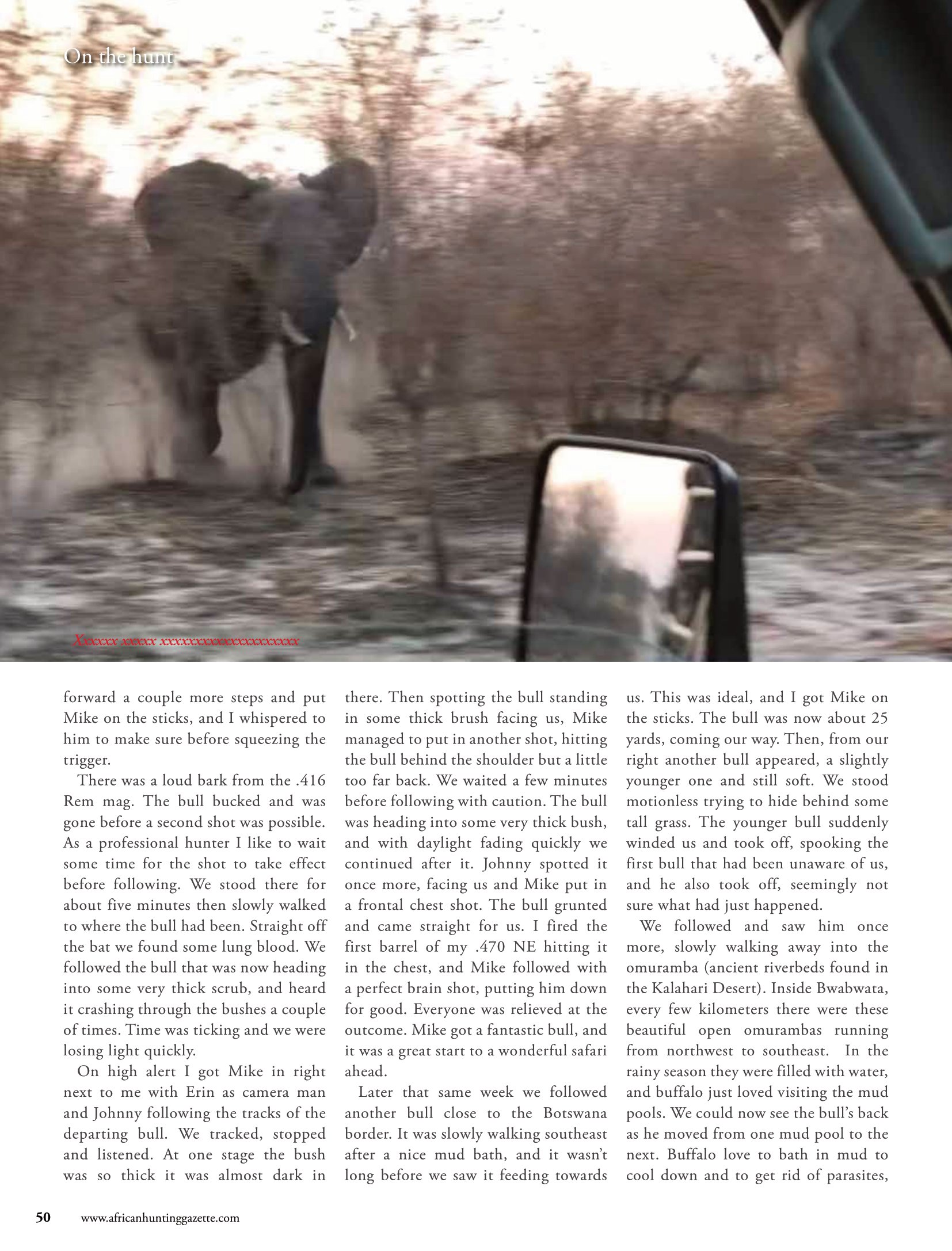 divan-safaris-elephant-hunt -5.jpg
