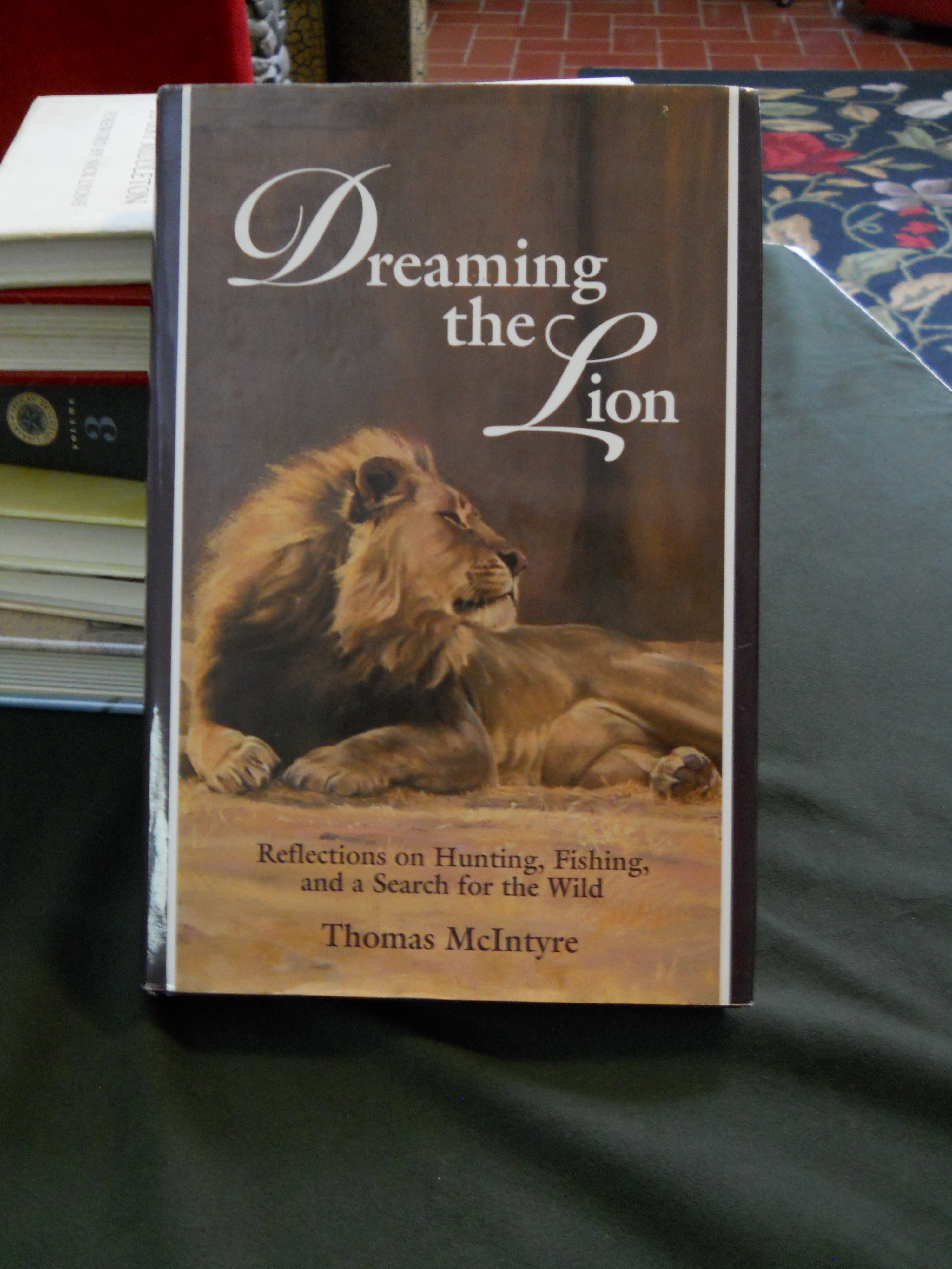 Dreaming the Lion.JPG