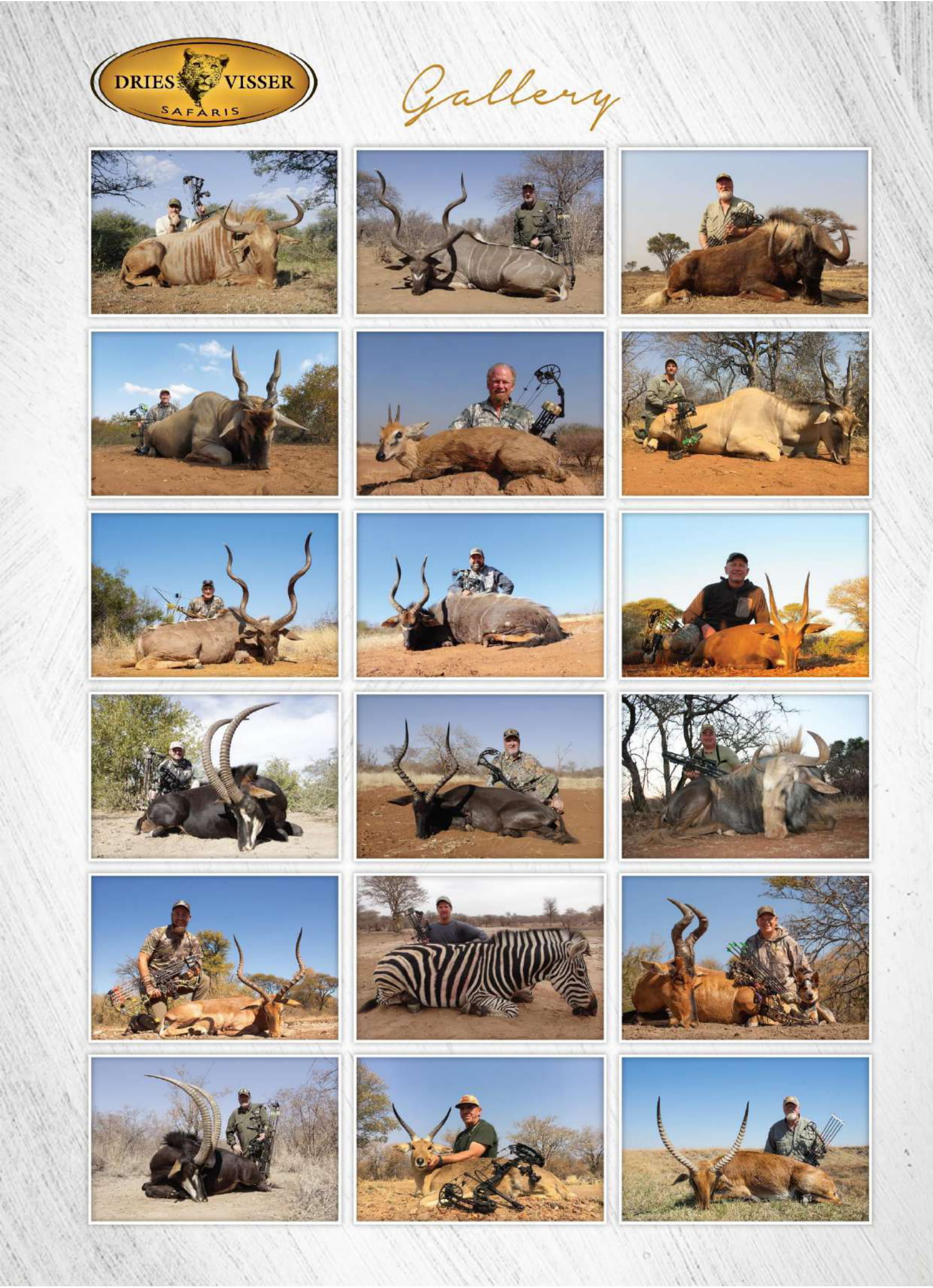 dries-visser-safaris-brochure-2021-10.jpg