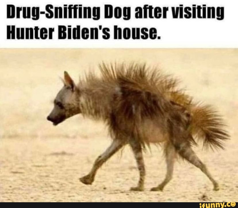 Drug sniffer.jpg