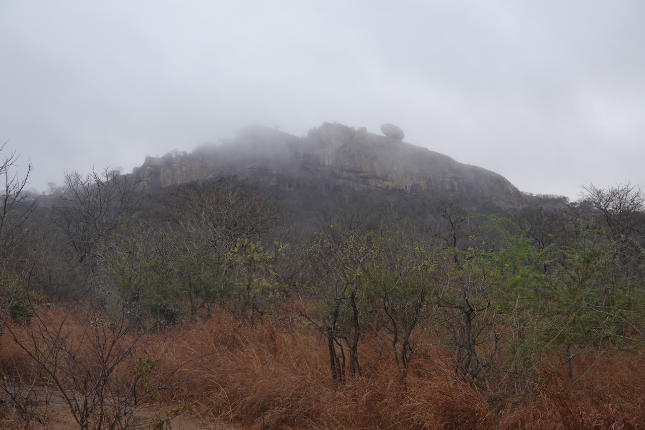 DSC00202.jpeg