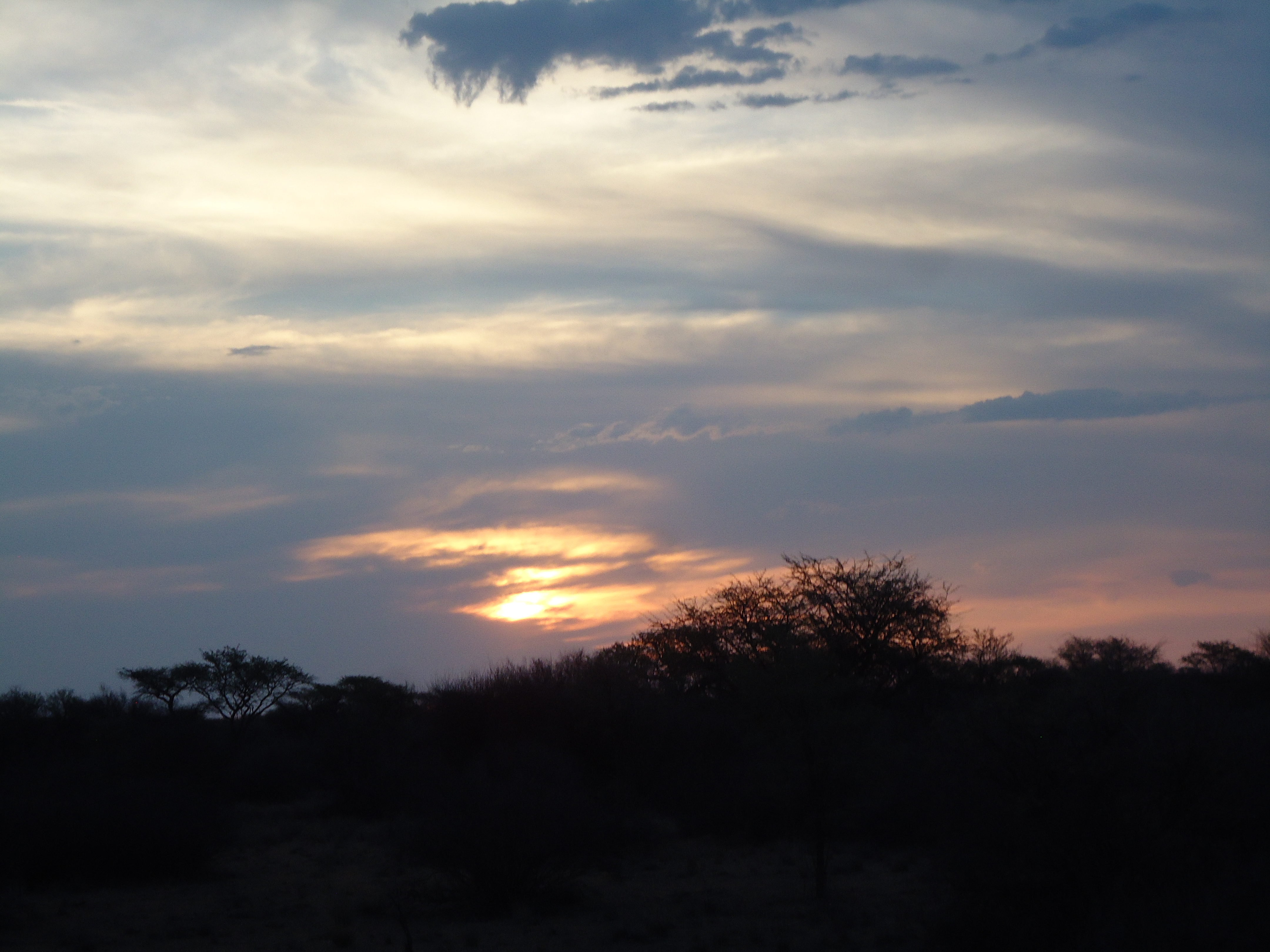 DSC01456.JPG